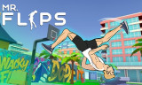 Mr Flip