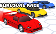 Survival Race